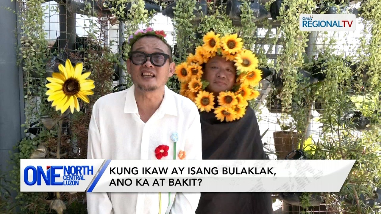 Kung ikaw ay isang bulaklak, ano ka at bakit? | One North CenKung ikaw ay isang bulaklak, tral Luzon